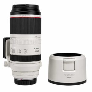 Canon RF 100-500mm 4.5-7.1  L IS USM